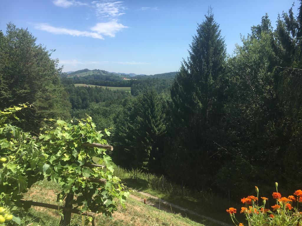 Gaestehaus Schmid Sankt Johann im Saggautal Exteriör bild