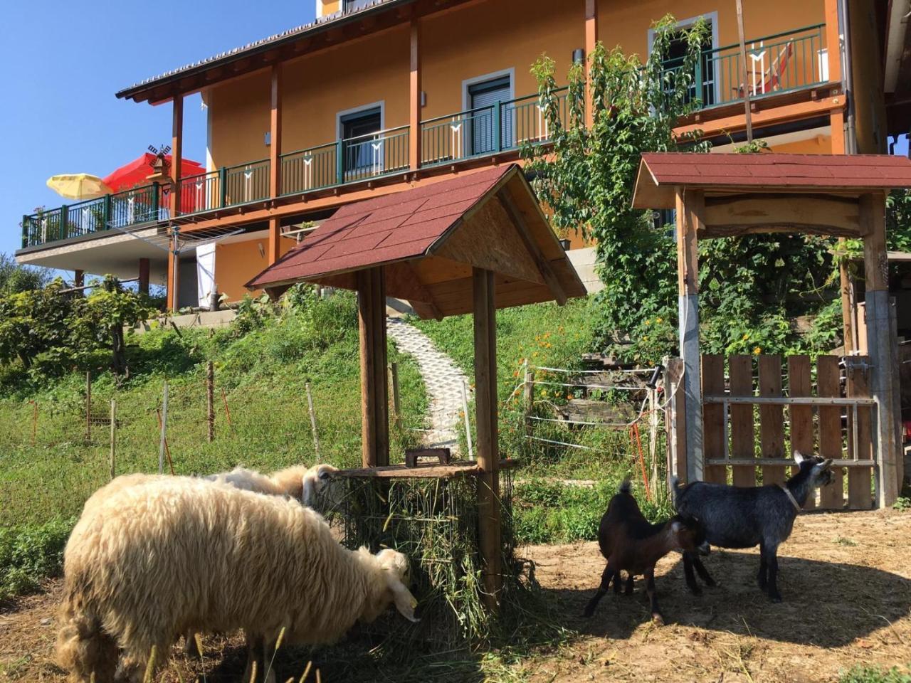 Gaestehaus Schmid Sankt Johann im Saggautal Exteriör bild